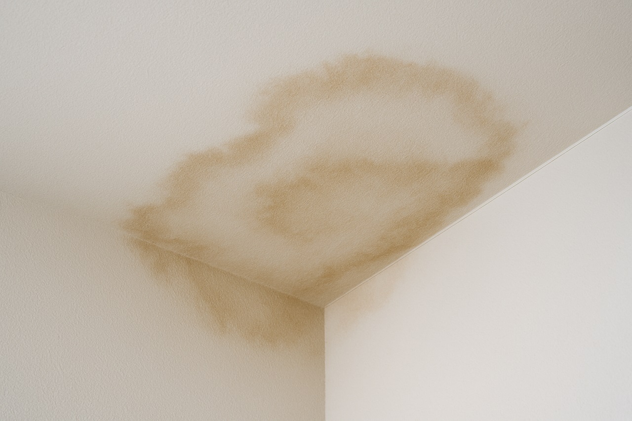 aureole-plafond-infiltration-fuite-ou-condensation-expertise-btgexpertises-humidite